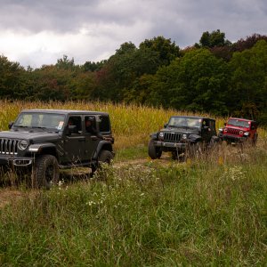 Jeeps On Trails