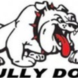 Dales Super Store Bully Dog Logo:

http://dalessuperstore.com/i-18152839-bully-dog-40440-triple-dog-gt-jeep-wrangler-jk-tuner-2007-14.html?ref=categor