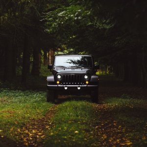 Jeep Wrangler in the woods.