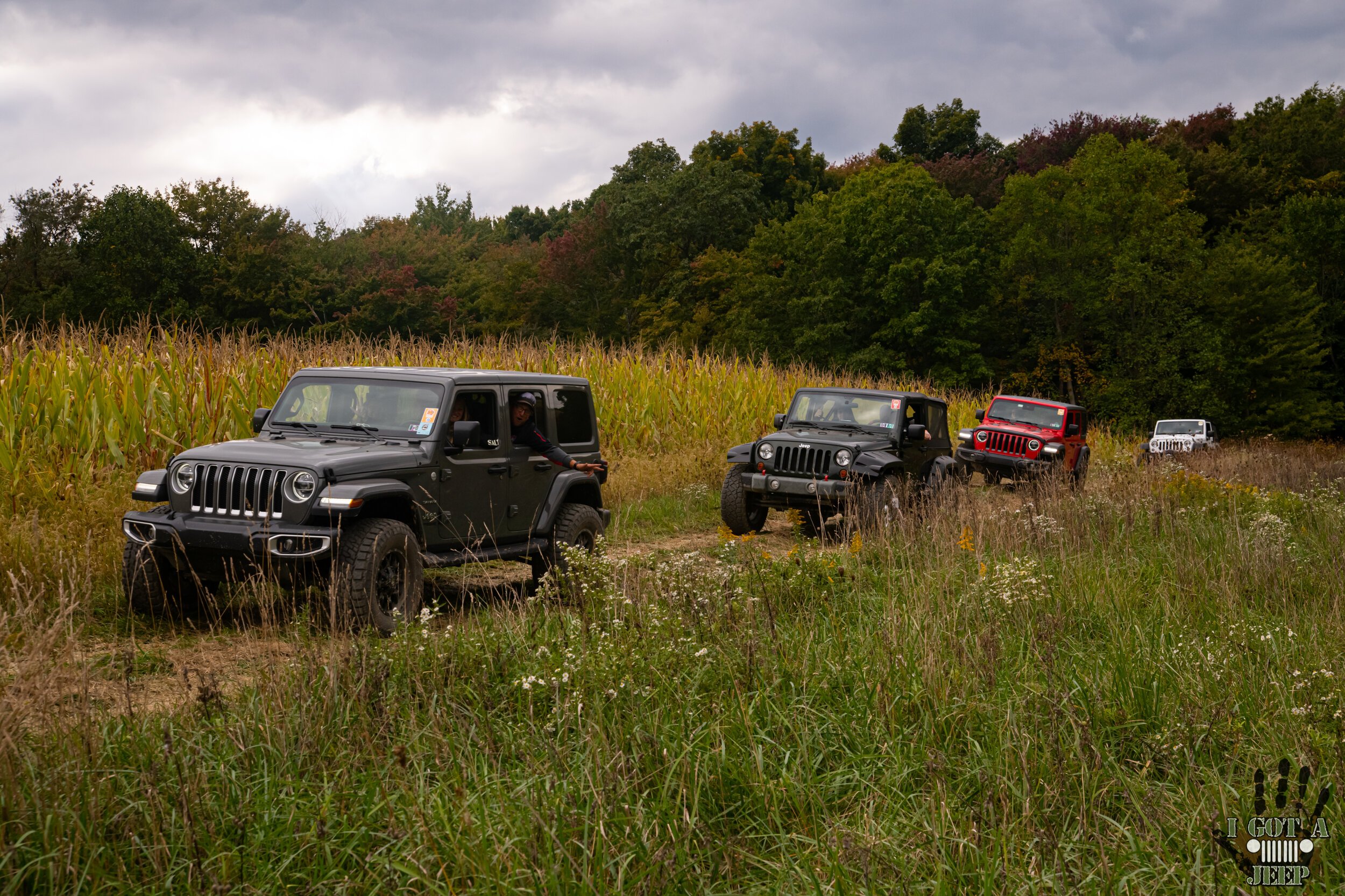 Jeeps On Trails